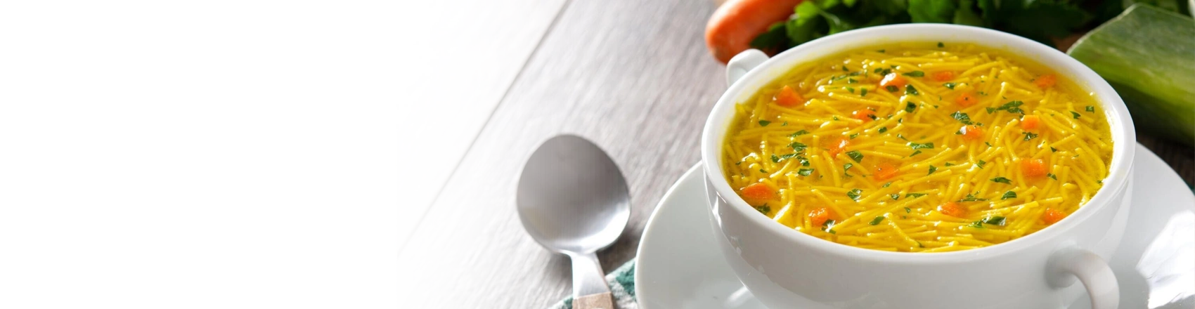 Chicken Noodle Soup