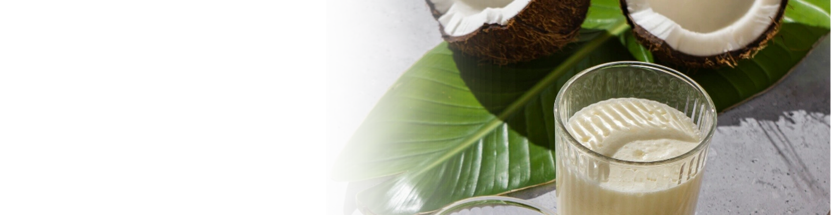 Tropical Piña Colada