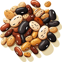 Legumes & Grains