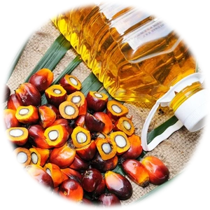 Palm Oil
