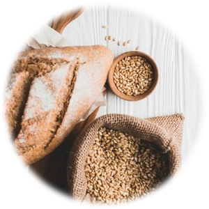 Multigrain Bread