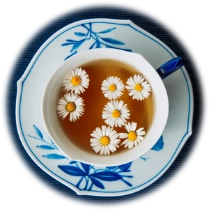 Chamomile