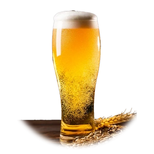 Beer