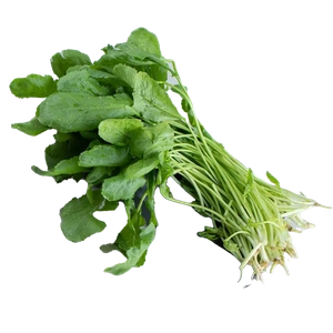 Watercress