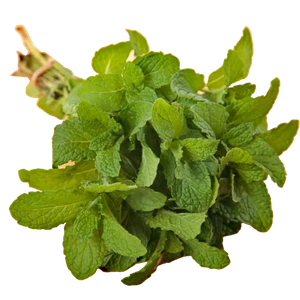 Mint