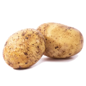 Potato