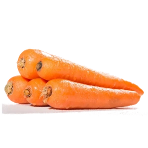 Carrot