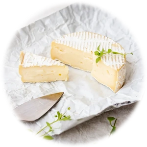 Camembert