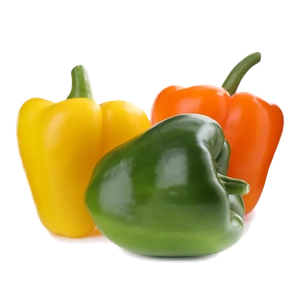 Bell Pepper