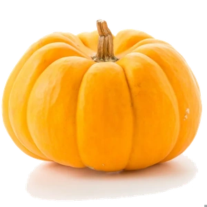 Pumpkin