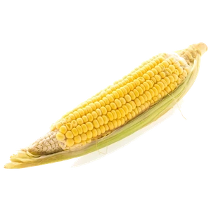 Corn