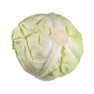 Cabbage