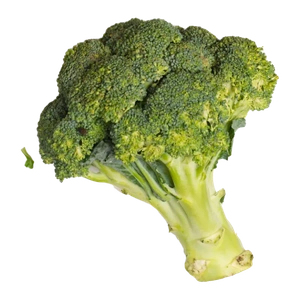 Broccoli