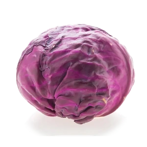Red Cabbage