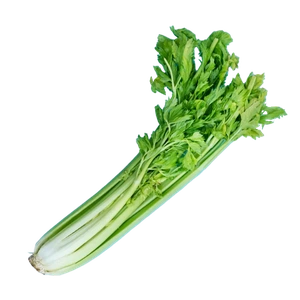 Celery