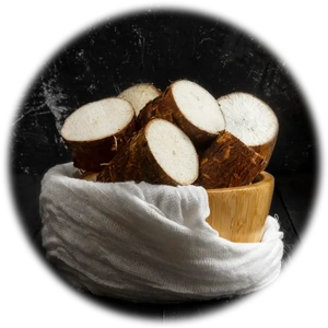 Cassava