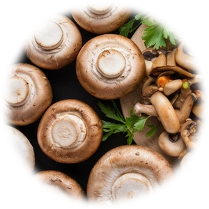 Mushroom