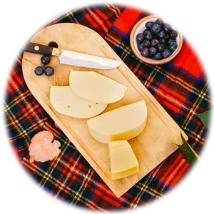 Monterey Jack