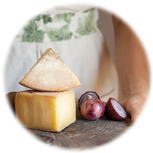 Pecorino
