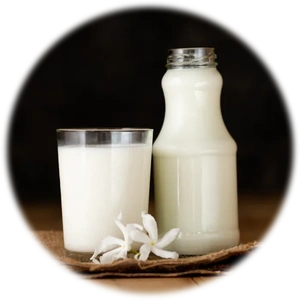Buffalo Milk