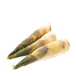 Bamboo Shoots