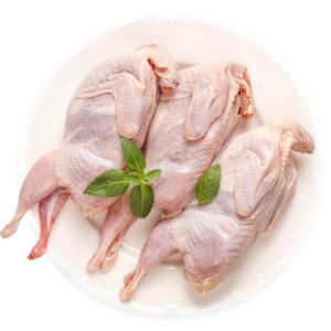Quail