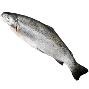 hake
