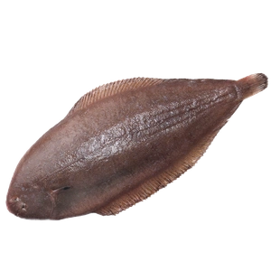 Sole