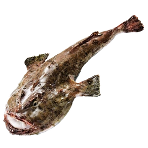 Monkfish