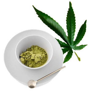 hemp protein