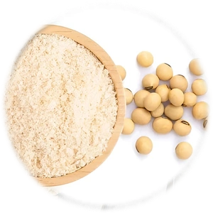 soy protein