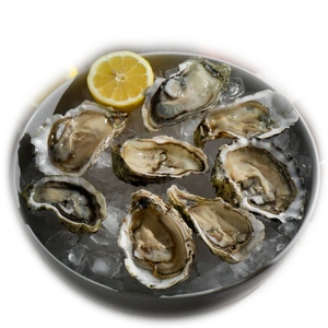 Oyster
