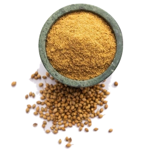 Coriander seed powder
