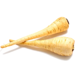 Horseradish