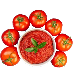 Tomato Paste