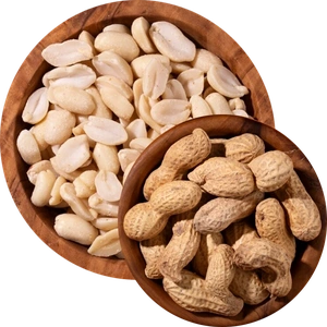 Peanut