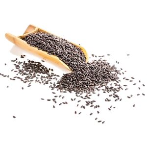 Chia seed