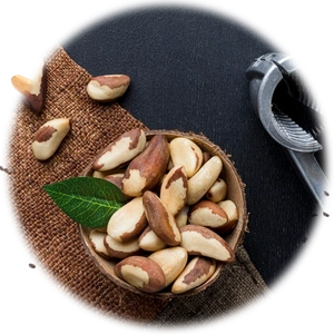 Brazil nut