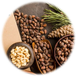 Pine Nuts