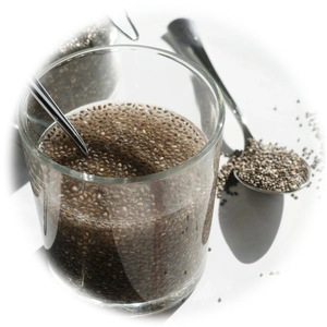 Seeds Beverages