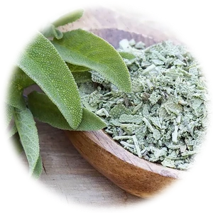 Sage
