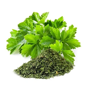 Dried Coriander