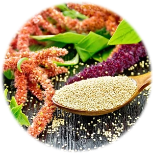 Amaranth