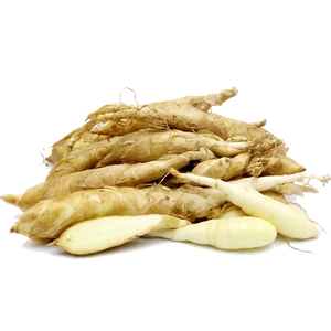 Arrowroot