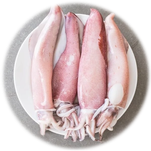 Calamari