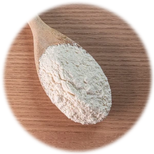 Casein Protein
