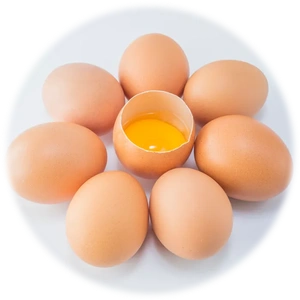 Chicken Egg