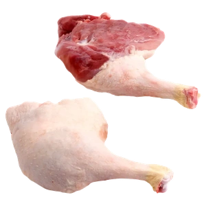 Duck Leg