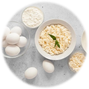 Egg Protein
