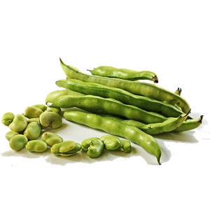 Fava Beans